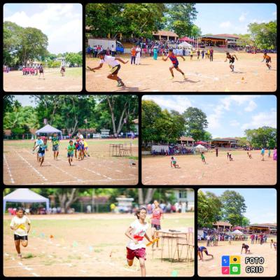 පාසල් ගැලරිය 
